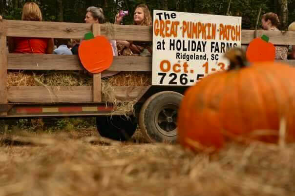 holiday-farms-ridgeland-pumpkin-patch-farm-games-kids-groups-bluffton-hilton-head-savannah-pumpkins-3