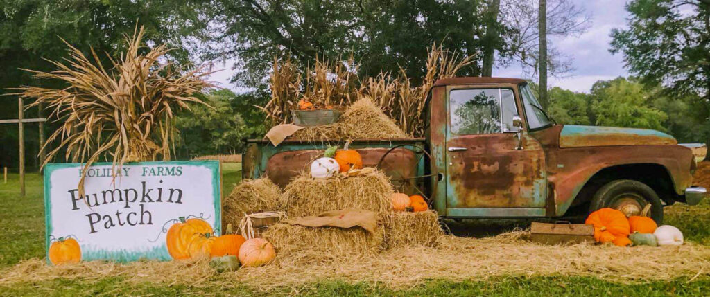 holiday-farms-ridgeland-pumpkin-patch-farm-games-kids-groups-bluffton-hilton-head-savannah-pumpkins-32